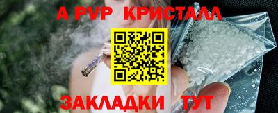 шишки Анжеро-Судженск